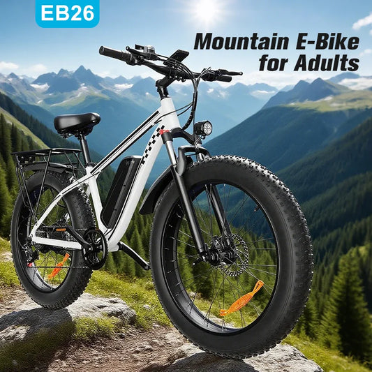 QNQ Electric Bicycle 1500W Motor