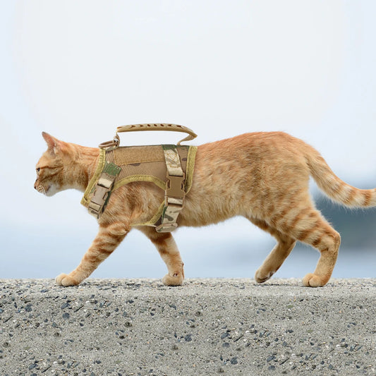 Cat Harness